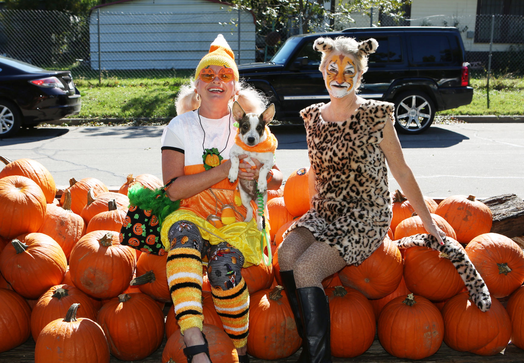 Pumpkinfest 2019